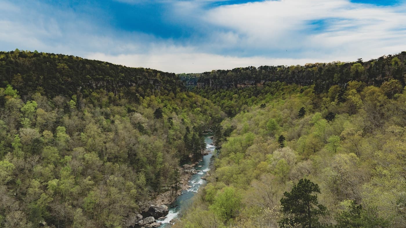 Scenic view of Little River Canyon in Alabama