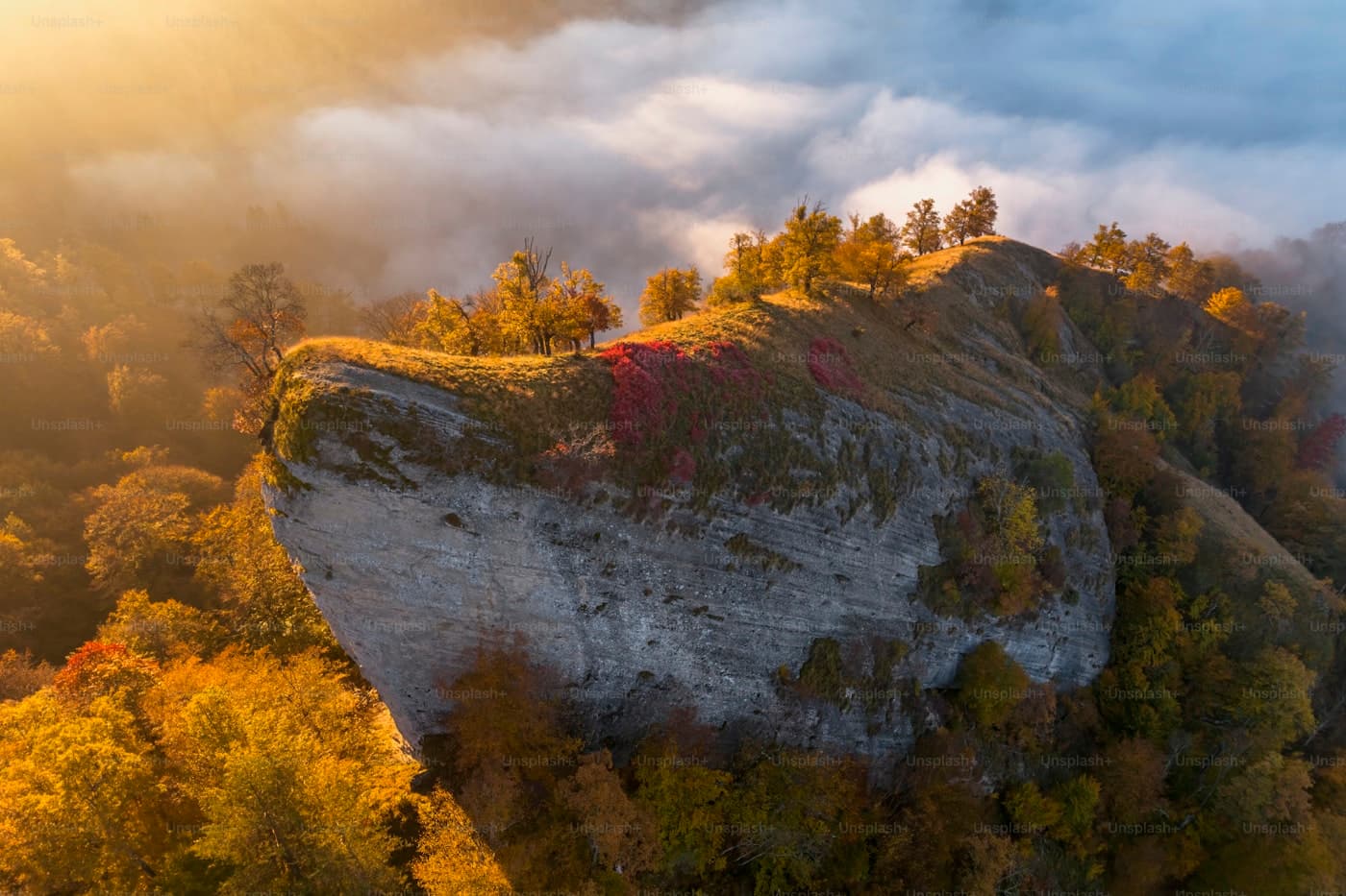 Scenic view of a forested Arkansas mountain landscape in Arkansas