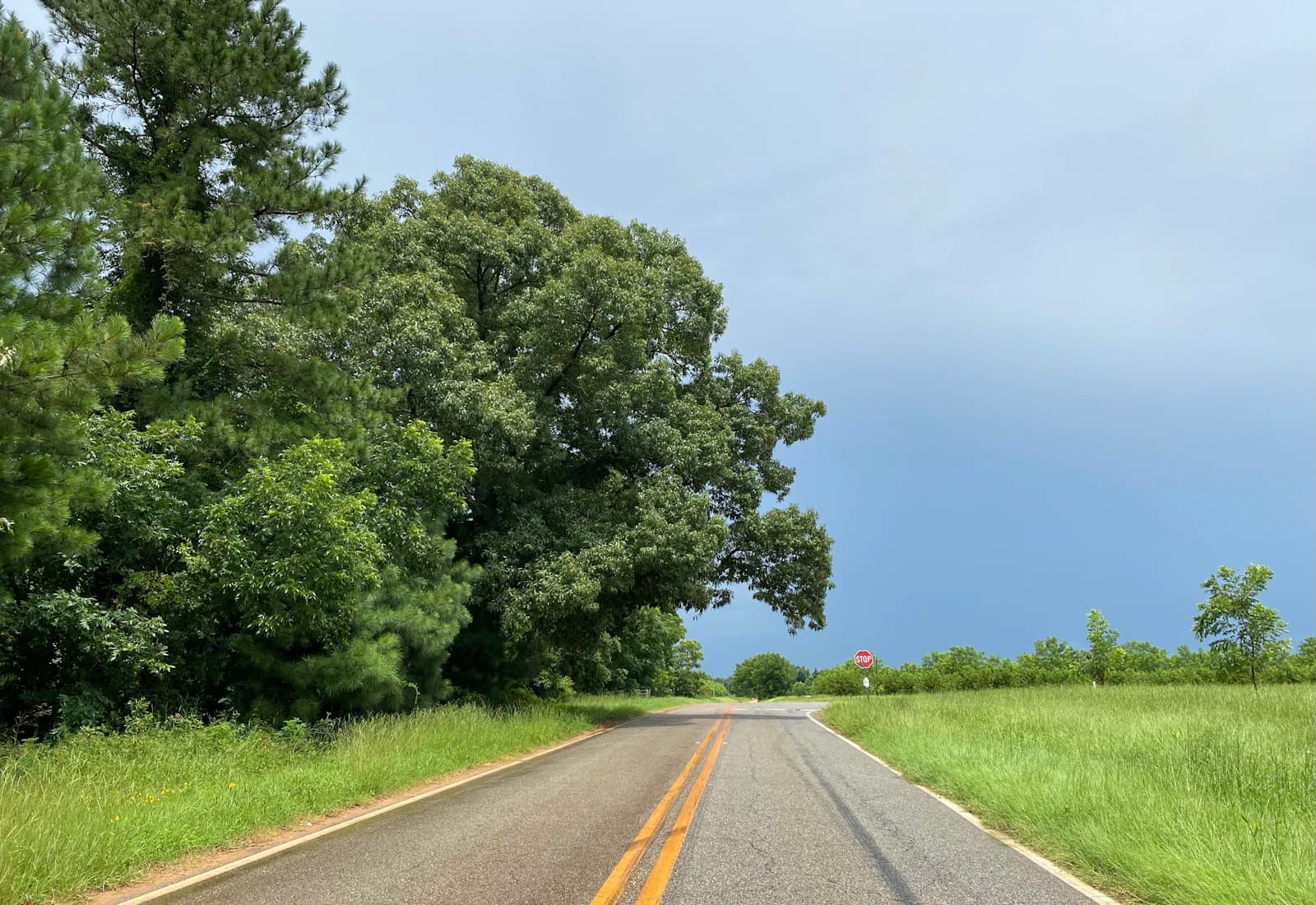 Scenic view of Augusta, Georgia
