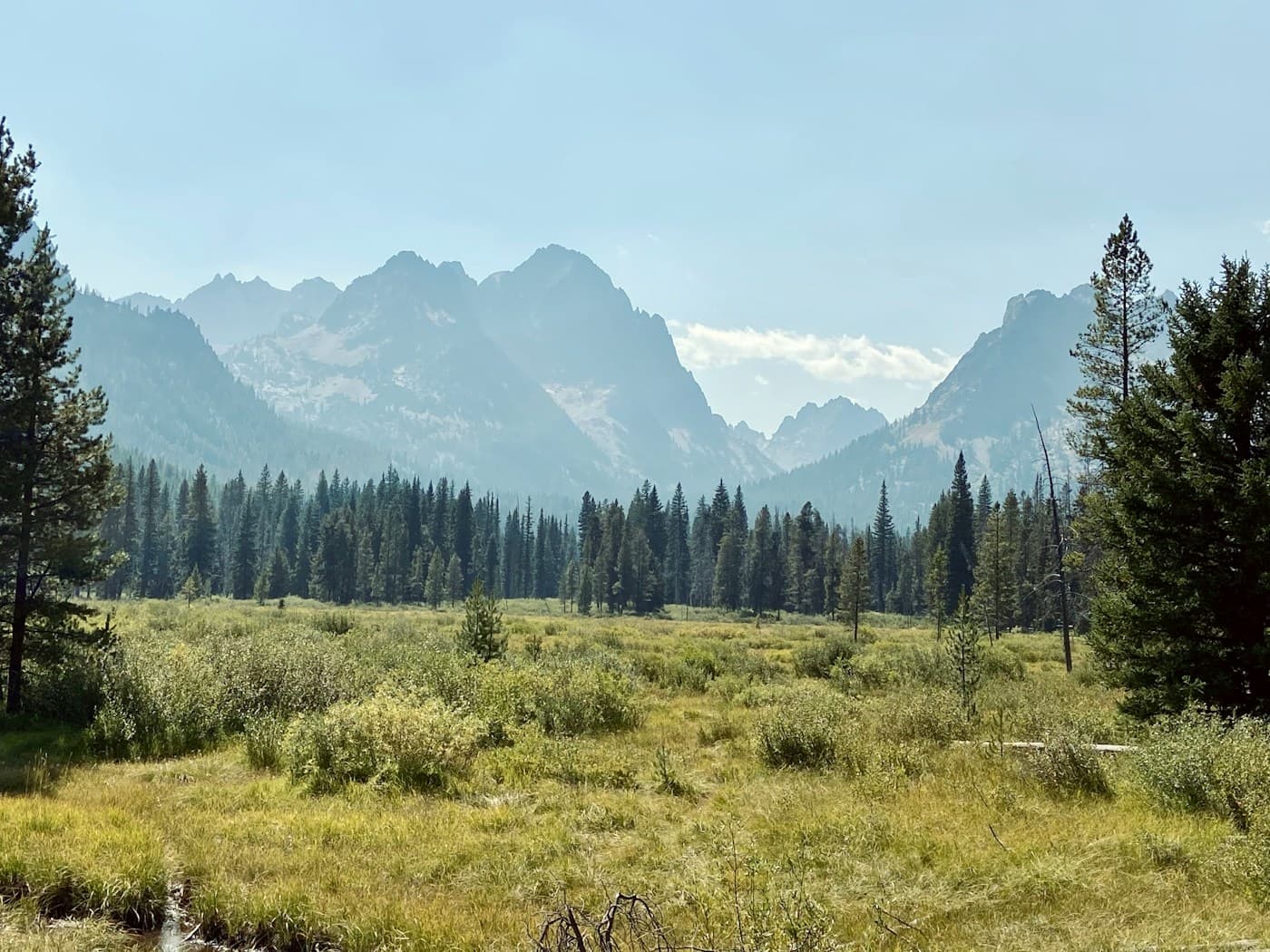 Scenic view of a green Idaho landscape in Idaho