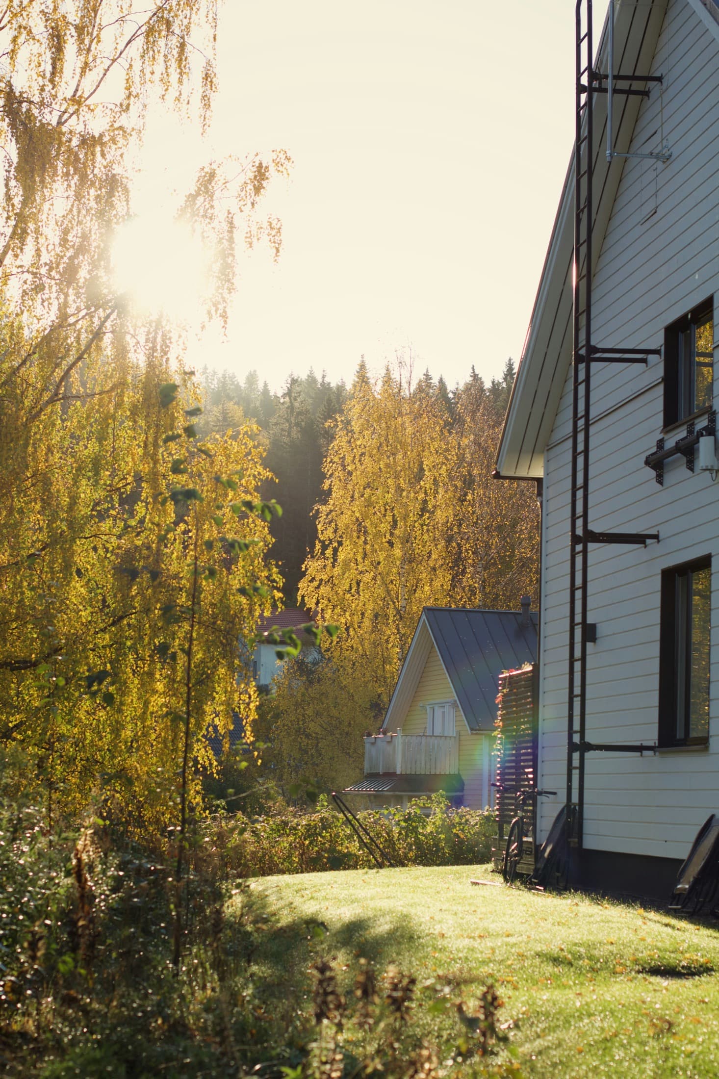 Window-filled homes in warm afternoon light